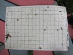8 frame second mite count